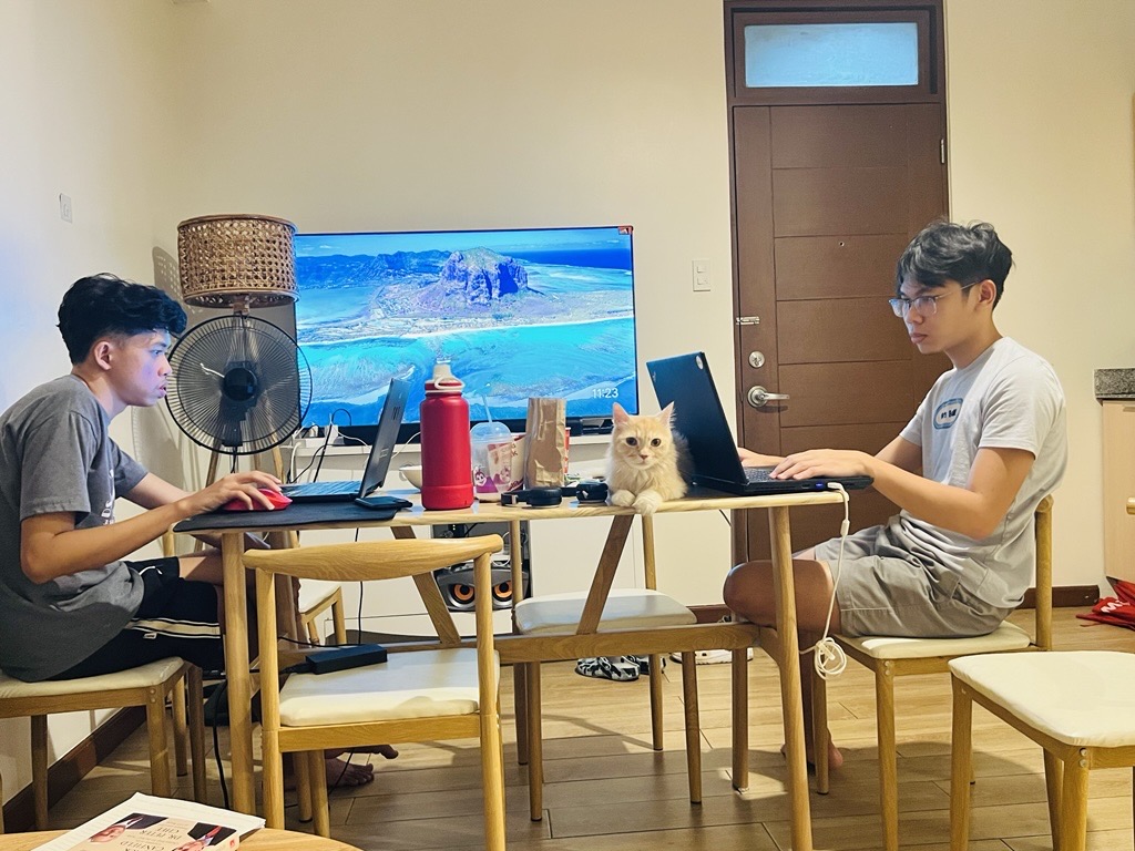 Team collaboration